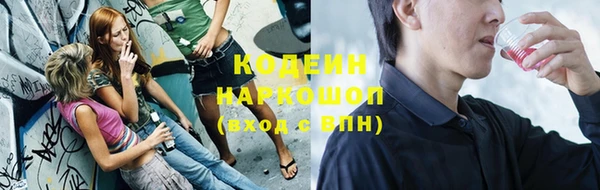 дживик Бронницы
