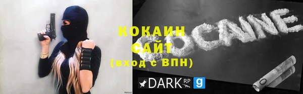 хмурый Бородино
