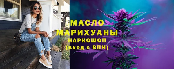 дживик Бронницы