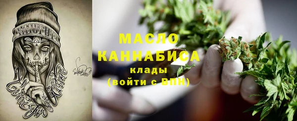стафф Верхний Тагил